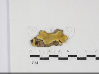 登錄號:F0034418藏品圖，第1張