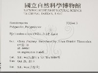 煙管菌藏品圖，第2張