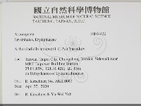 登錄號:F0034422藏品圖，第2張