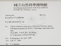 登錄號:F0034424藏品圖，第2張