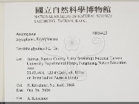 登錄號:F0034425藏品圖，第2張