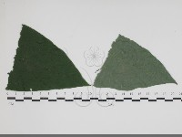 登錄號:F0034425藏品圖，第1張