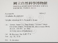 登錄號:F0034427藏品圖，第2張