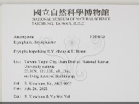 登錄號:F0034428藏品圖，第2張