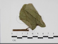 登錄號:F0034429藏品圖，第1張