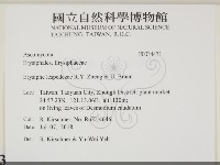 登錄號:F0034431藏品圖，第2張