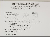 登錄號:F0034434藏品圖，第2張