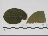 登錄號:F0034434藏品圖，第1張