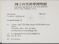 登錄號:F0034436藏品圖，第2張