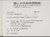 登錄號:F0034438藏品圖，第2張