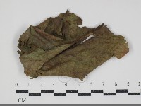 登錄號:F0034438藏品圖，第1張