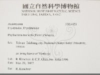 登錄號:F0034439藏品圖，第2張