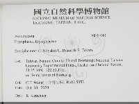 登錄號:F0034440藏品圖，第2張