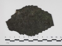 登錄號:F0034440藏品圖，第1張