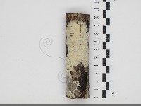 登錄號:F0034442藏品圖，第1張