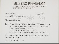 登錄號:F0034443藏品圖，第2張