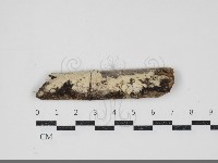 登錄號:F0034443藏品圖，第1張