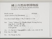 赤芝藏品圖，第2張