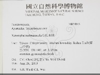 登錄號:F0034445藏品圖，第2張