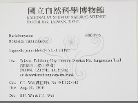登錄號:F0034446藏品圖，第2張