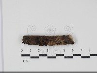 登錄號:F0034450藏品圖，第1張