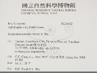 登錄號:F0034452藏品圖，第2張