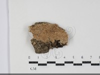 登錄號:F0034452藏品圖，第1張