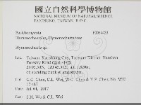 刺革菌屬藏品圖，第2張