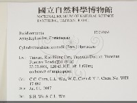 登錄號:F0034454藏品圖，第2張