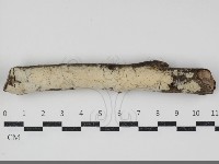 登錄號:F0034454藏品圖，第1張