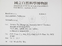 刺皮菌屬藏品圖，第2張