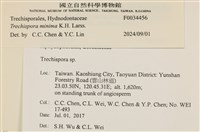 登錄號:F0034456藏品圖，第3張