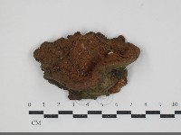 登錄號:F0034457藏品圖，第1張