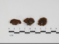 登錄號:F0034460藏品圖，第1張