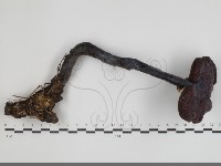 登錄號:F0034461藏品圖，第1張