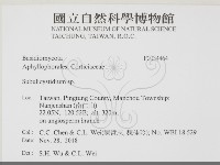 登錄號:F0034464藏品圖，第2張