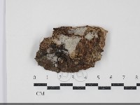 登錄號:F0034464藏品圖，第1張
