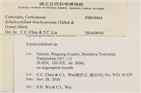 登錄號:F0034464藏品圖，第3張