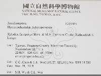 登錄號:F0034465藏品圖，第2張