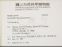 粗糙孢菌屬藏品圖，第2張