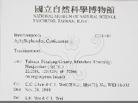 登錄號:F0034467藏品圖，第2張