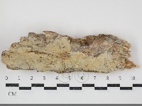 登錄號:F0034467藏品圖，第1張