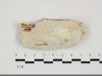 登錄號:F0034468藏品圖，第3張