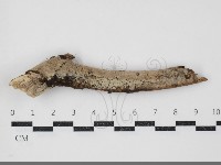 登錄號:F0034470藏品圖，第1張