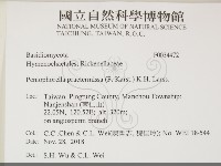 登錄號:F0034472藏品圖，第2張