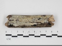 登錄號:F0034473藏品圖，第1張