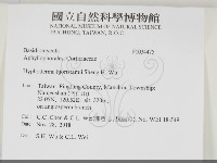 登錄號:F0034475藏品圖，第2張