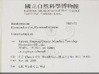 刺革菌屬藏品圖，第2張