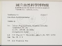 登錄號:F0034477藏品圖，第2張