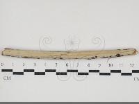 登錄號:F0034477藏品圖，第1張